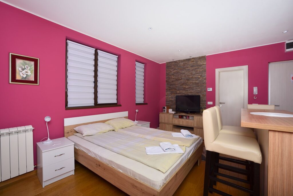 pahulja 02 studio 1177 1
