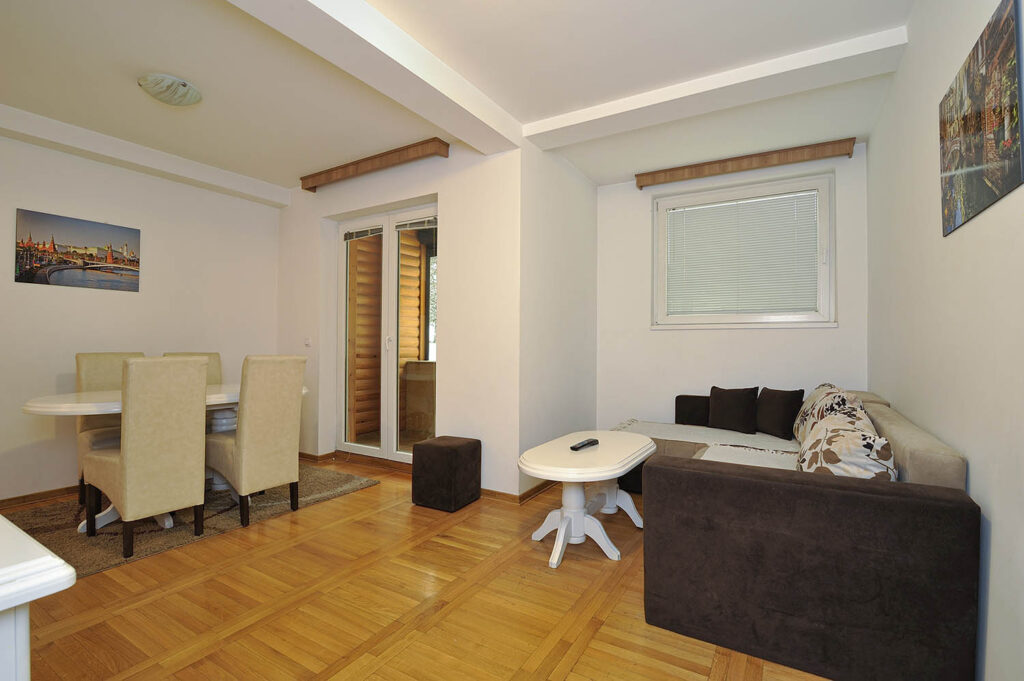 vila mina zlatibor maxi 2 04 dns 5764